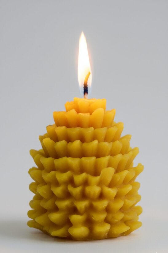 Pinecone M - Beeswax candle
